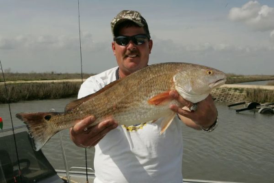 Redfish Season in Orange Beach, Alabama